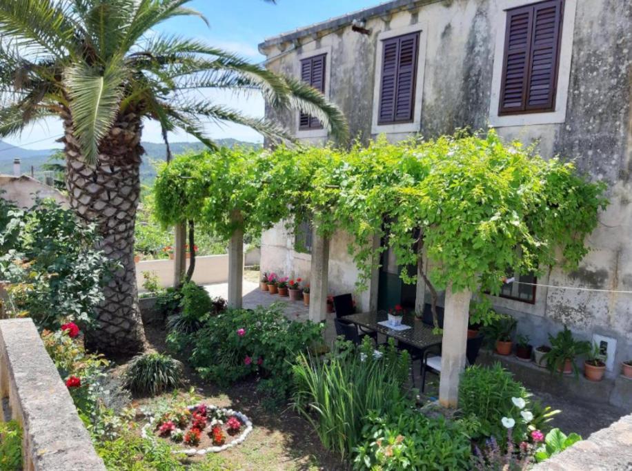 Gardenia House Villa Janjina Dış mekan fotoğraf